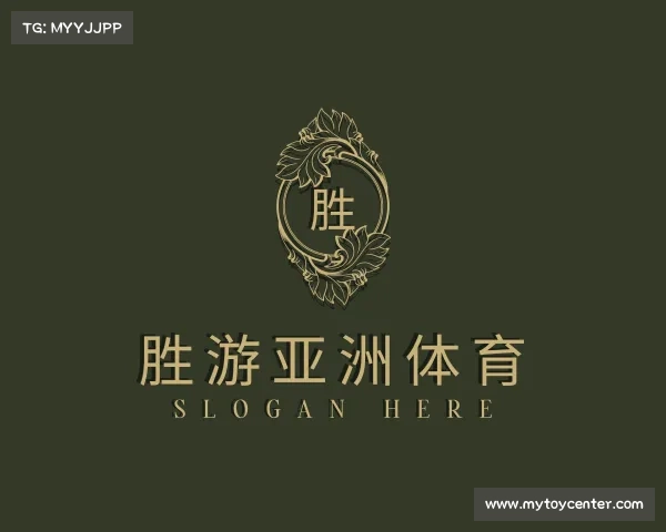 关于胜游亚洲官方网站